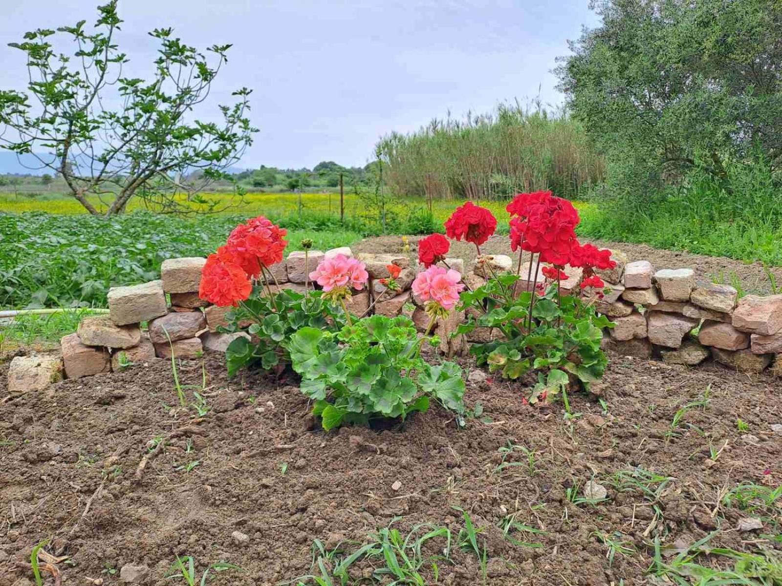 Maison Du Lac Kanoni  Dış mekan fotoğraf
